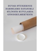 Eğitici Dünya Haritası Dünya Atlası Çocuk ve Bebek Odası Duvar Sticker -60x105-3800